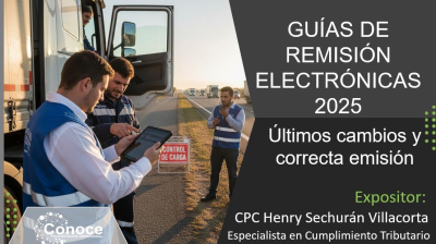 Guías de Remisión Electrónicas 2025