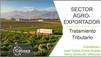 Sector Agroexportador en el Perú